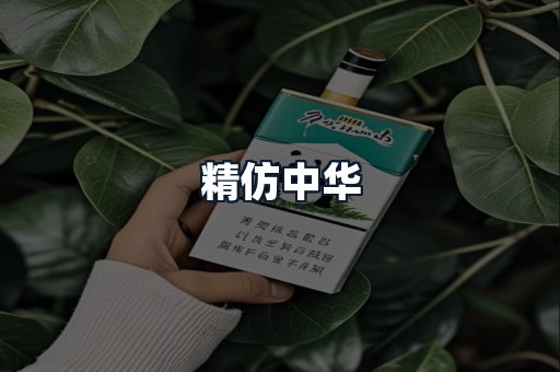 精仿中华